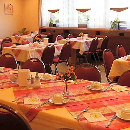 Hotel Hotel Herbstein 3*